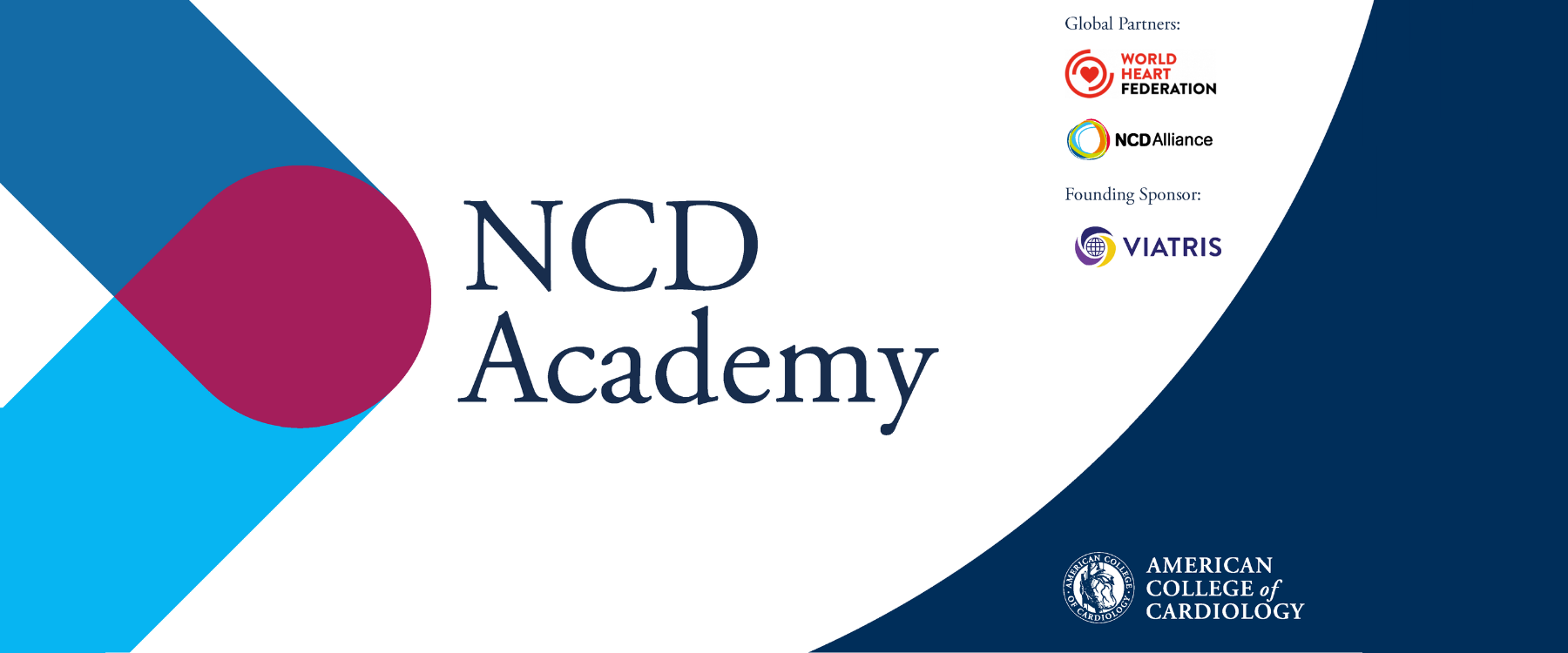 ncd-academy-ncd-alliance